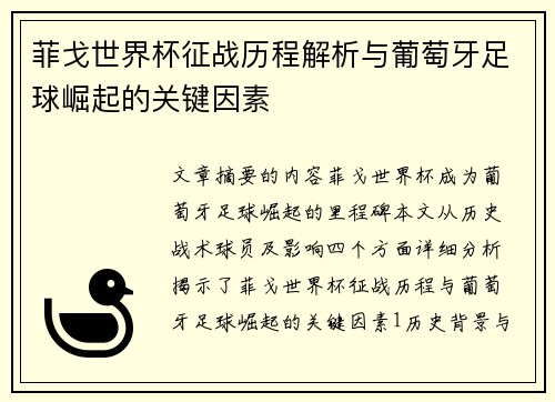 菲戈世界杯征战历程解析与葡萄牙足球崛起的关键因素